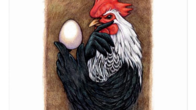 HOROZ YUMURTASI – Diye bir şey var mı? Horozlar yumurtlar mı?